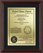 patent-plaques-wood-frame-contemporary